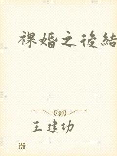 裸婚之后结局