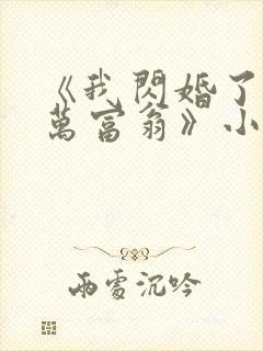 《我闪婚了个亿万富翁》小说