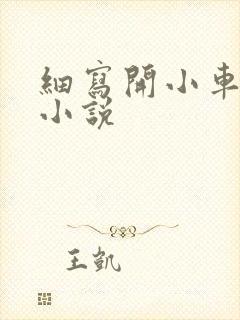 细写开小车车的小说