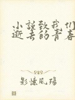 小说致我们终将逝去的青春