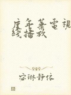 度年华电视剧在线播放