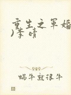 重生之军婚(h)李晴