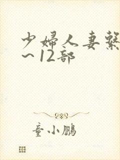 少妇人妻系列1～12部