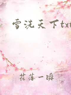 雪洗天下txt