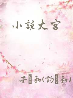 小说大宫