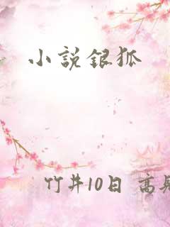 小说银狐