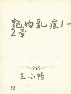 艳肉乱痕1—12章