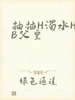 抽插H浊水H嫩B父皇