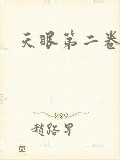 天眼第二卷