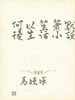 何以笙箫默之婚后生活小说