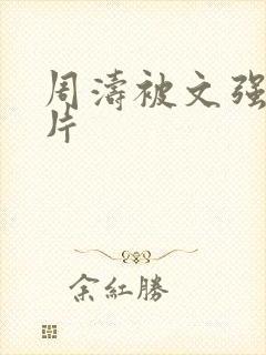 周涛被文强睡图片