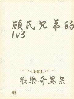 顾氏兄弟的南宁1v3