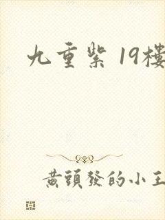 九重紫 19楼