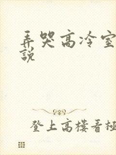 弄哭高冷室友小说