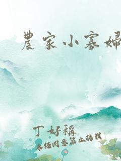 农家小寡妇