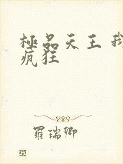 极品天王 我本疯狂
