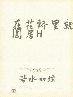 在花轿里就开始圆房H