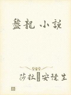 盘龙 小说