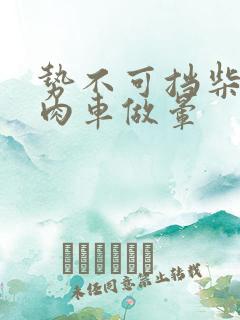 势不可挡柴鸡蛋肉车做晕