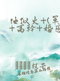 他似火+(军婚+高干+婚恋)