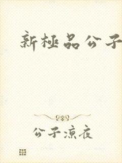 新极品公子