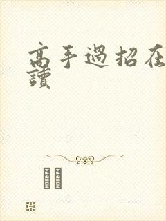 高手过招在线阅读