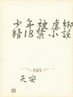 少年被虐绑着榨精18禁小说