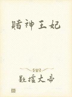 赌神王妃