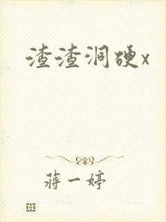 渣渣洞硬x