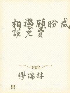 相遇顾盼成欢小说免费