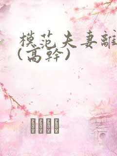 模范夫妻离婚了(高干)