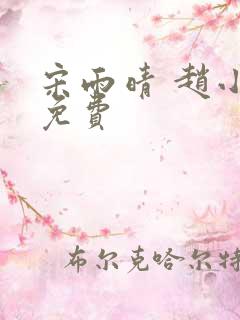 宋雨晴 赵小刚免费