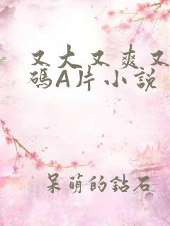 又大又爽又黄无码A片小说