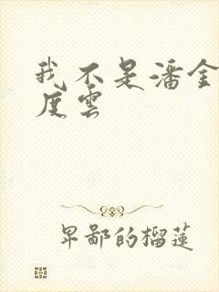 我不是潘金莲百度云