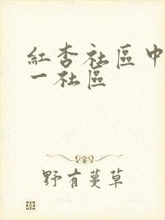 红杏社区中文第一社区