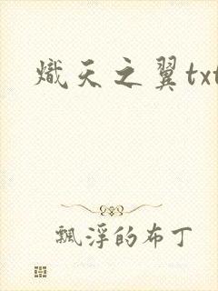 炽天之翼txt