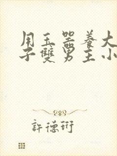 用玉器养大的皇子双男主小说