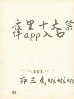 夜里十大禁用软件app入口