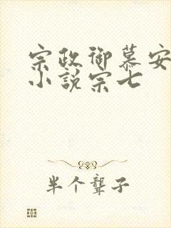 宗政御慕安安的小说宗七