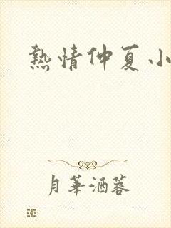 热情仲夏小说