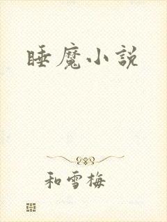 睡魔小说