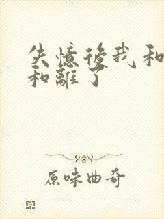 失忆后我和王爷和离了