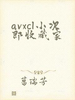 avxcl小次郎收藏家