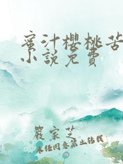 蜜汁樱桃苦咖啡小说免费