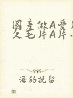 国产做A爱片久久毛片A片小说