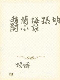 赵兰梅孙明笔趣阁小说