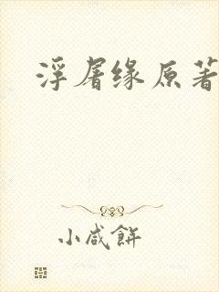 浮屠缘原著小说