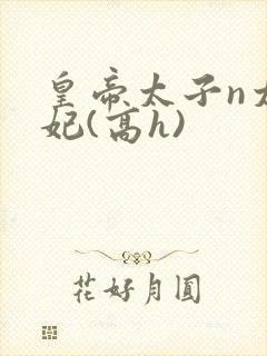 皇帝太子n太子妃(高h)