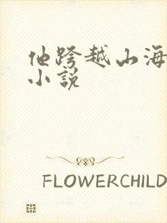 他跨越山海而来小说