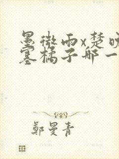 墨微雨x楚晚宁塞橘子哪一章